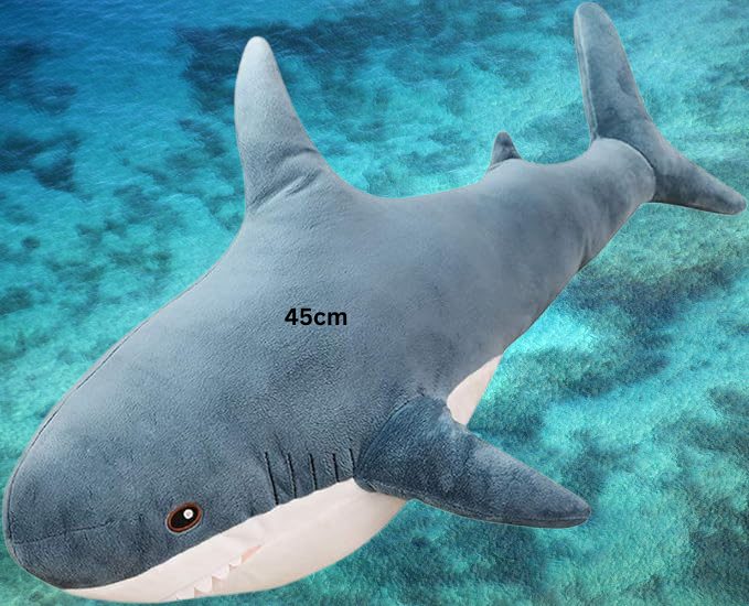 Blahaj Shark Meme