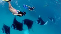best resorts in the maldives for snorkeling
