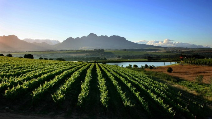 ENTERTAIN YOUR TASTE BUDS IN THE CAPE WINELANDS
